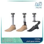 پروتز پنجه کربنی